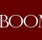 Baby Boomer Home - Builder Guide