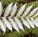 Newlands Landscaping - Builder Guide