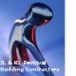 IL & KL Percival - Builder Guide 0