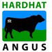 Hardhat Angus - Builder Guide 0